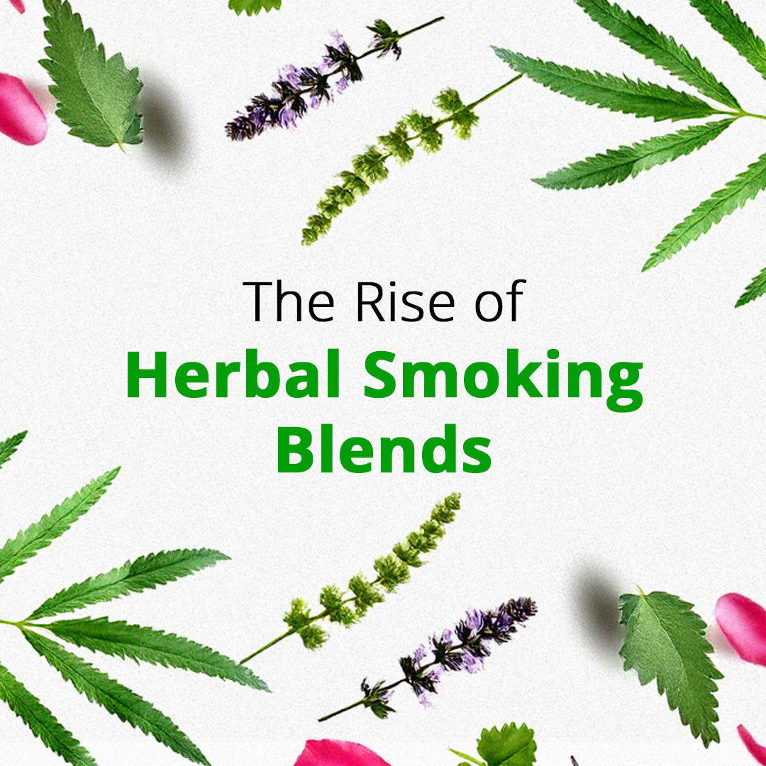 species of tobacco How to Choose the Best Tobacco Leaves for Cigars & Cigarettes